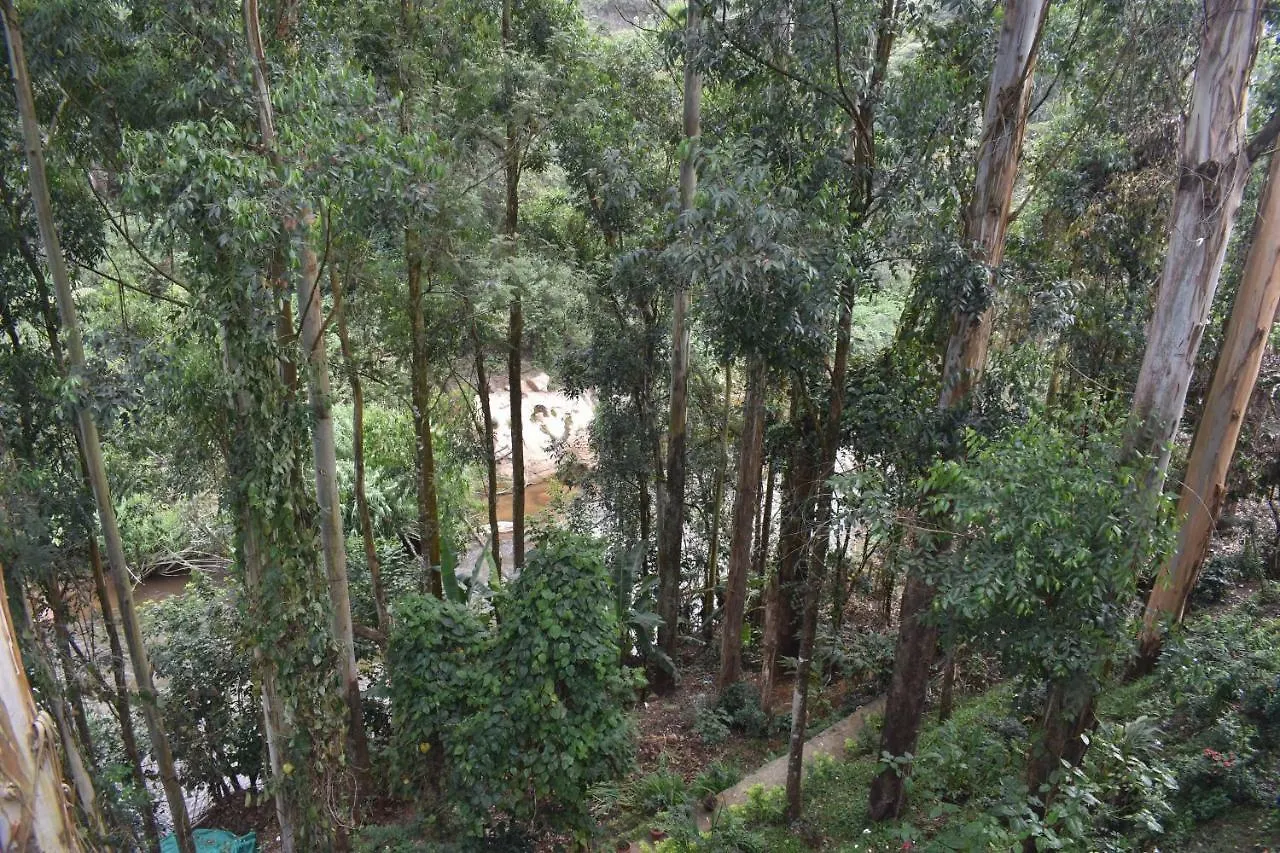 Eden Holidays Ev Munnar Inn